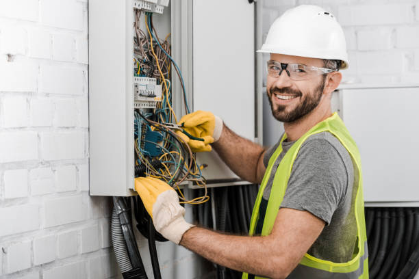 Best Electrical System Inspection  in Annandale, VA