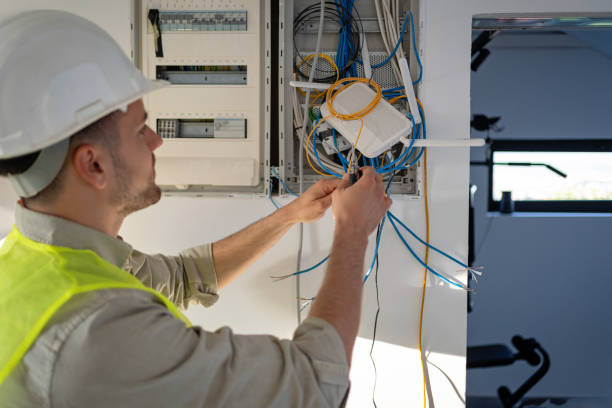 Best Electric Panel Repair  in Annandale, VA
